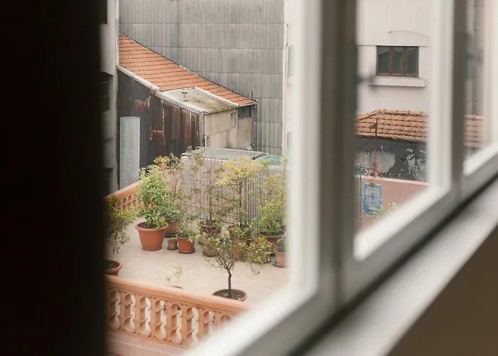 Viva Three Magi Konukevi