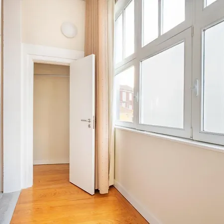 Viva Three Magi Porto