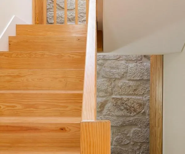 Viva Three Magi Porto